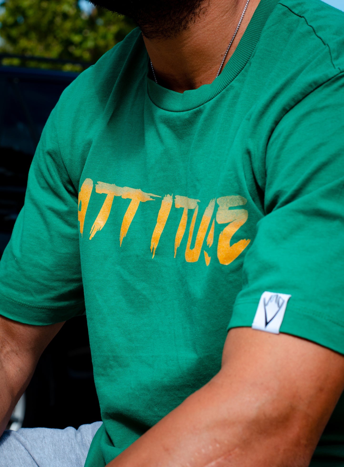 Attitude
